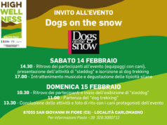 “Dog on the Snow”, la due giorni firmata High Wellness South Italy in programma il 14 e 15 febbraio in Sila