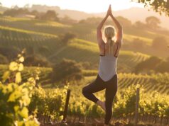 Da Nord a Sud torna Vigneti Aperti 2026