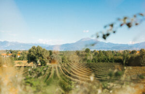 Il Consorzio Lugana al Fuorisalone: wine partner di AnotherView