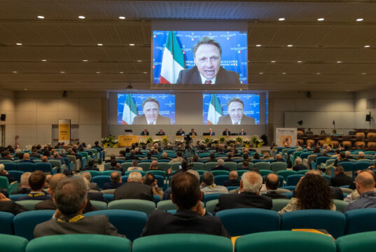 Grana Padano DOP, crescono vendite ed export