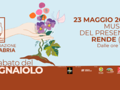 Il Sabato del Vignaiolo arriva a Rende: il 23 maggio 2026 il vino artigianale scende in piazza