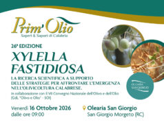 Prim’Olio 2026: la ricerca contro la minaccia Xylella, il 16 ottobre la 26ª edizione a San Giorgio Morgeto