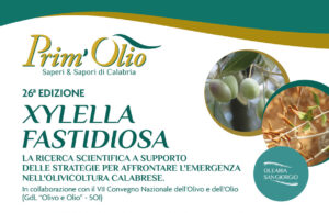 Prim’Olio 2026: la ricerca contro la minaccia Xylella, il 16 ottobre la 26ª edizione a San Giorgio Morgeto